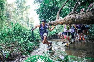 BIB: 
                            <button type="button" onclick="openModal(25456279)" class="btn btn-primary btn-sm float-right btn-popup" data-toggle="modal" data-target=".modal-high-quality">
                        <i class="fas fa-shopping-cart"></i> Add to Cart
                    </button>
                                            <button type="button" onclick="isThisMe(25456279, true)" class="btn btn-success btn-sm float-right btn-popup btn-isme hidden" data-toggle="tooltip" data-placement="bottom" title="นี่คือรูปของคุณใช่ไหม คลิกที่นี่เพื่อเอาเข้าอัลบั้ม">
                        <i class="fas fa-plus"></i> Add to album
                    </button>
                    <button type="button" onclick="isThisMe(25456279, false)" class="btn btn-warning btn-sm float-right btn-popup btn-isnotme hidden">
                        <i class="fas fa-ban"></i> Remove from album
                    </button>